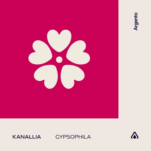 Kanallia - Gypsophila [FSOEA033]